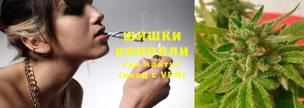 дживик Магас