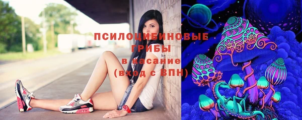 молекула духа Медногорск