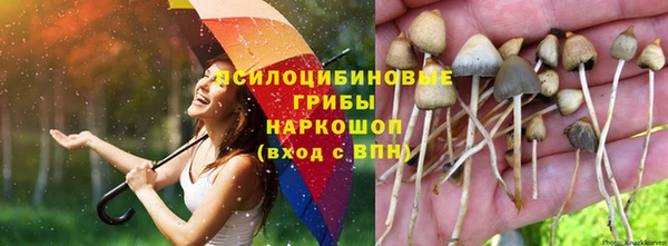 мефедрон мука Медвежьегорск