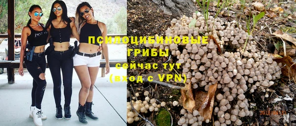 дмт Мегион