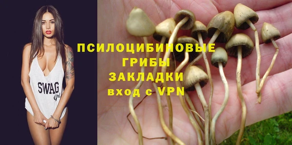 дживик Магас