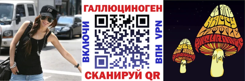 купить наркотики сайты  Подольск  Галлюциногенные грибы мицелий 