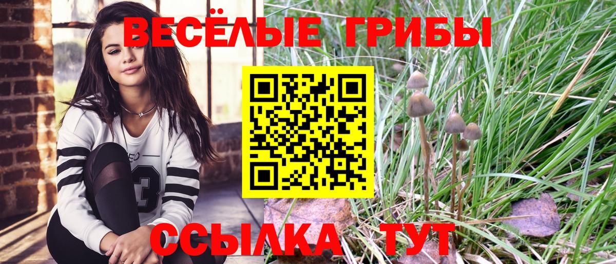 магазин продажи наркотиков  Вход с VPN  Подольск  Псилоцибиновые грибы мухоморы  Галлюциногенные грибы Psilocybe 